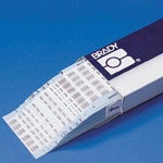 12520 by brady