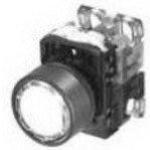 AR22F0L-11L3Y by fuji electric