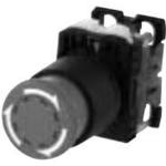 AR22VSR-01R by fuji electric