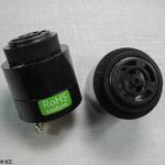 BRP4549S-110-CP by icc/intervox