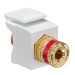 40833-BWR by leviton