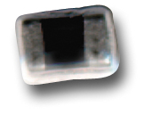 173-501APC-301 by honeywell