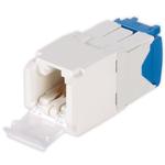 CJD6X88TGIW by panduit