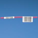 N100X175CBC by panduit