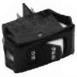 RAV-98889052 by carling technologies