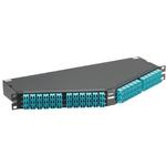 F1ASZN-9612-10S