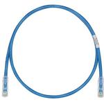 UTPSP7BUY-Q by panduit
