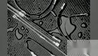 CC2636-000 by te connectivity / raychem brand