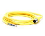 804006D01M020 by woodhead / molex