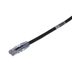 UTPSP2MBLY by panduit