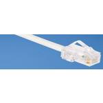 UTP28CH100 by panduit