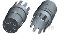 293616-2 by te connectivity / amp brand
