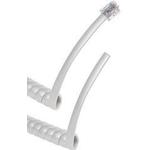 AT-C-26-4/4/W-10-OE by assmann wsw components
