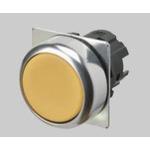 A22NZRNMNAA by omron automation