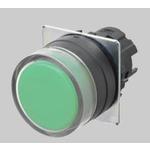 A22NZBGMNRA by omron automation