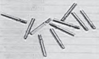 related Part Image