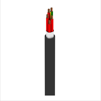 77005W-BLK-100 by belden