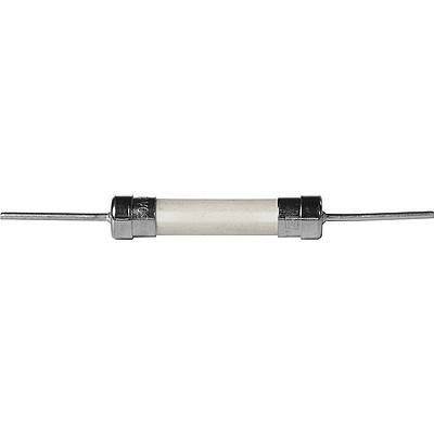 8020.0604.H.PT by schurter