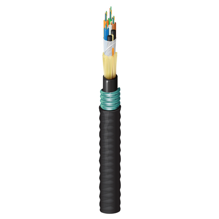 FD3H0245F by belden