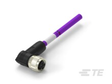 TAB62446501-150 by te connectivity / amp brand