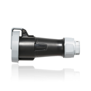 530C5WLEV by leviton