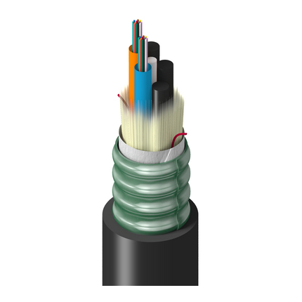 TF-3LG-024-RS5-BLK by belden