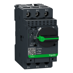 GV2P08 by schneider electric
