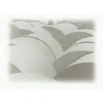 Diapositiva 1