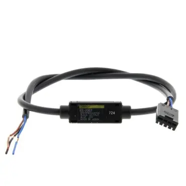 EE2002 by omron automation