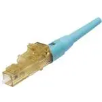 FLCSMCXAQY