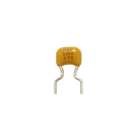 RD15CG101J500-NONROHS