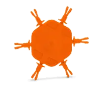 Related Part Image