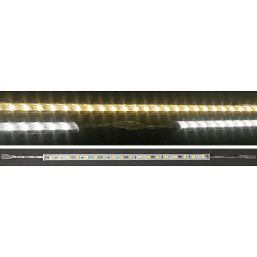 TBL4520-18W12-XPW-012W-WP