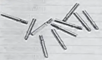 related Part Image