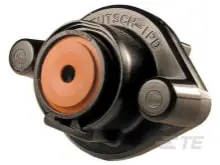 Related Part Image