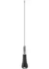 ASP76551