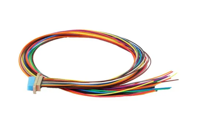 Diapositiva 1